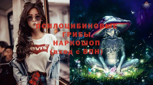 стаф Зеленодольск